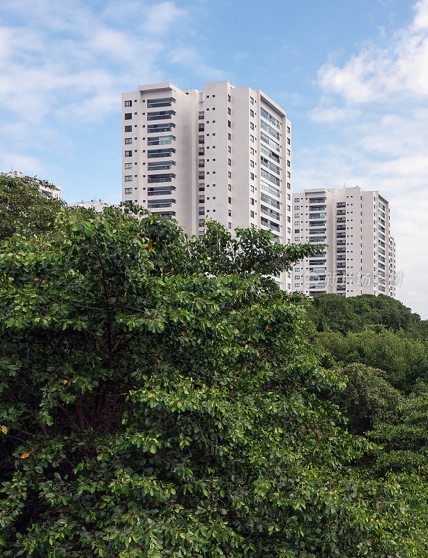 Boa Viagem社区的自然和建筑